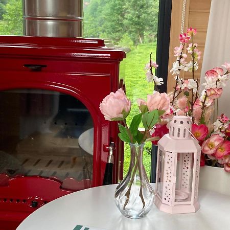 Vagona Tiny House Hotel Rize Eksteriør billede