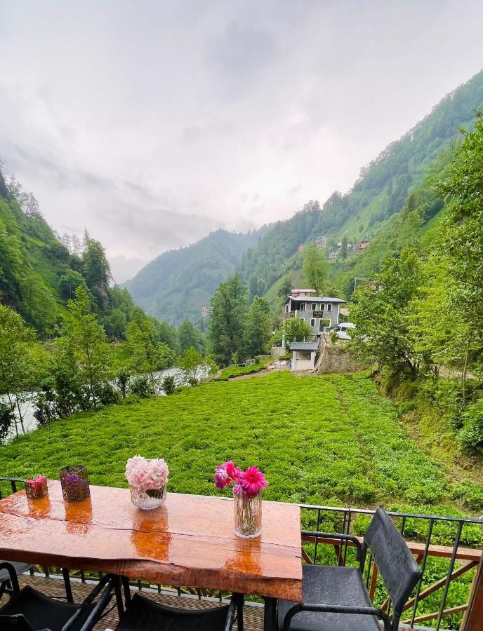 Vagona Tiny House Hotel Rize Eksteriør billede