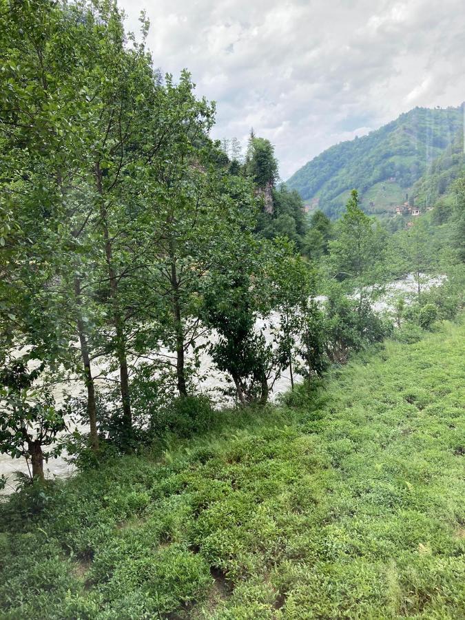 Vagona Tiny House Hotel Rize Eksteriør billede